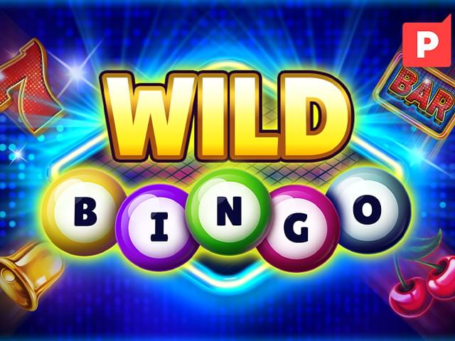 01bet Bingo Selvagem